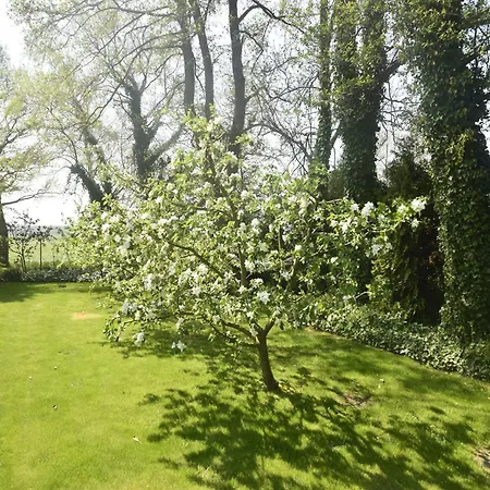 別荘 Seaside With Sauna *