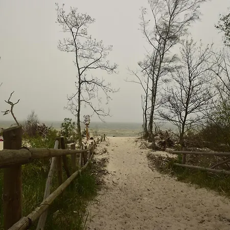 Seaside With Sauna 別荘 *