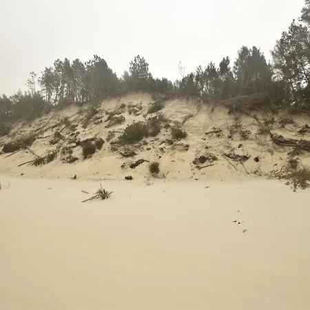 Seaside With Sauna *