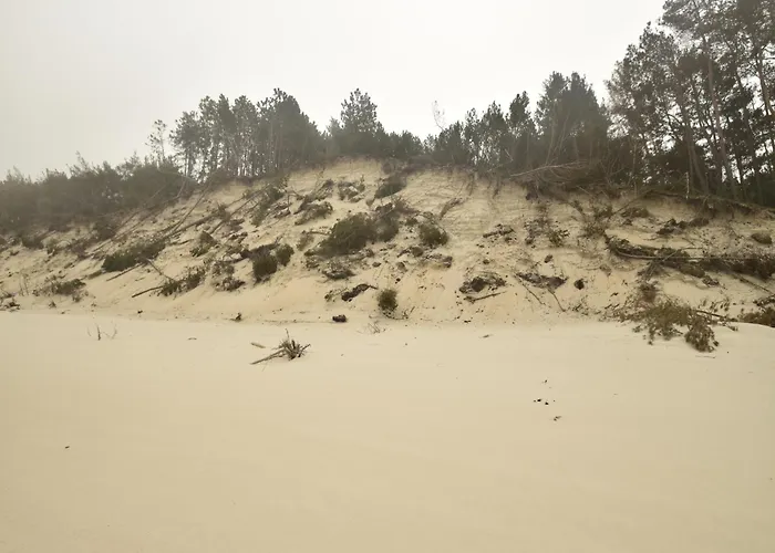 Seaside With Sauna *